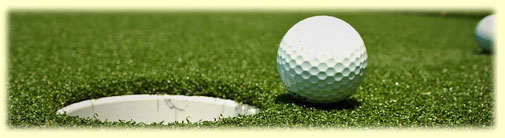 Come practic your skills with our practic putting and chipping greens.